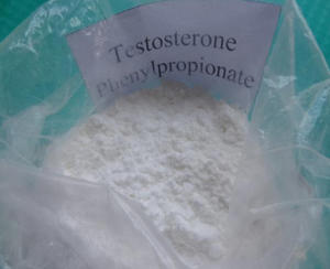 Testosterone Phenylpropionate Steroid Hormone powder